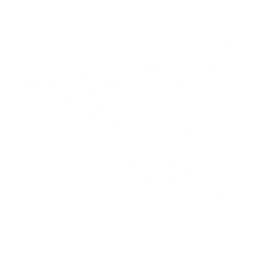 DJI drones at Terra Excel Drones Alberta - Intelligent and Innovative Solutions