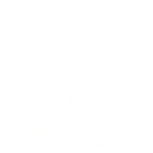 DJI drones at Terra Excel Drones Alberta - Intelligent and Innovative Solutions