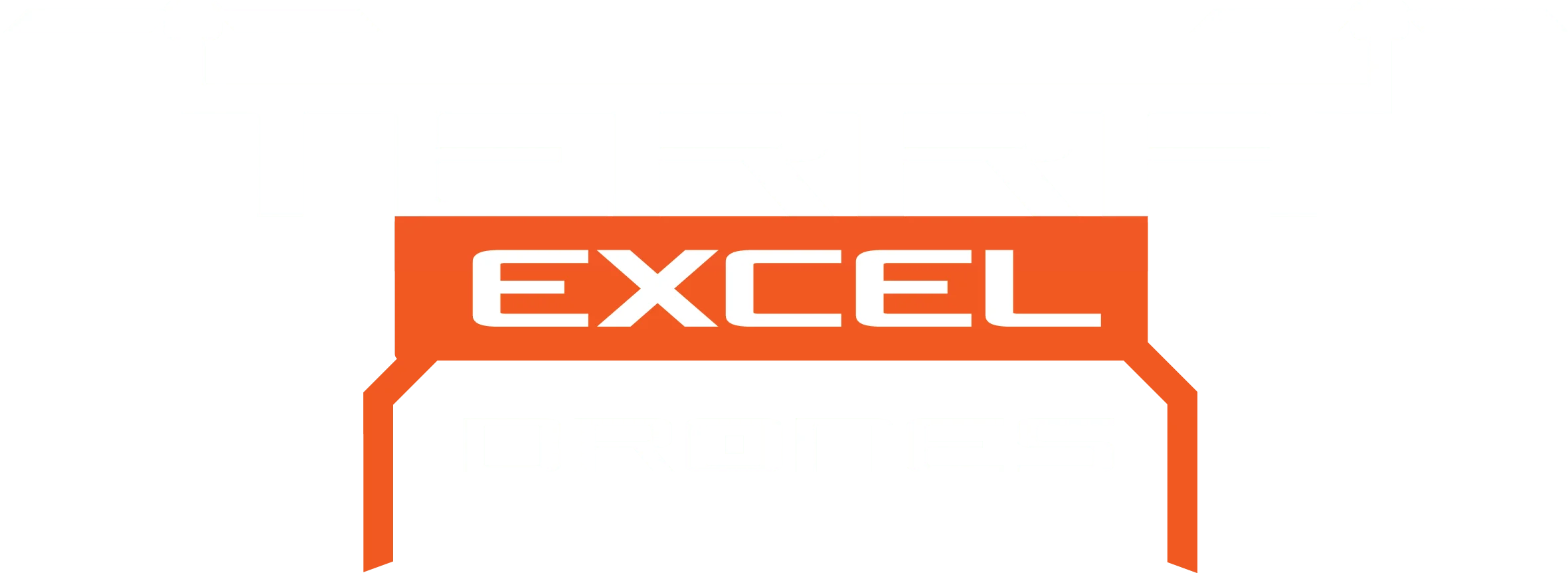 Terra Excel Drones logo