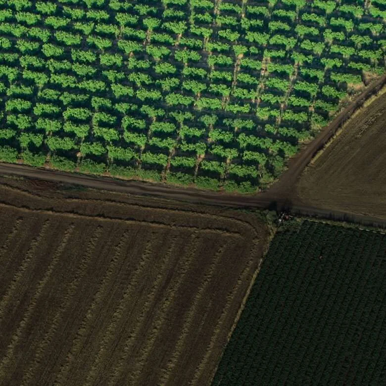 DJI Zenmuse L1 LiDAR payload - Visualize Data As You Fly